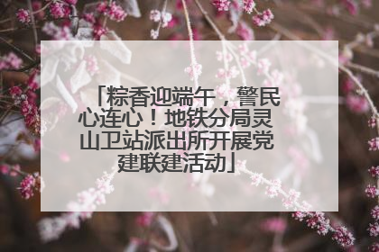 粽香迎端午，警民心连心！地铁分局灵山卫站派出所开展党建联建活动